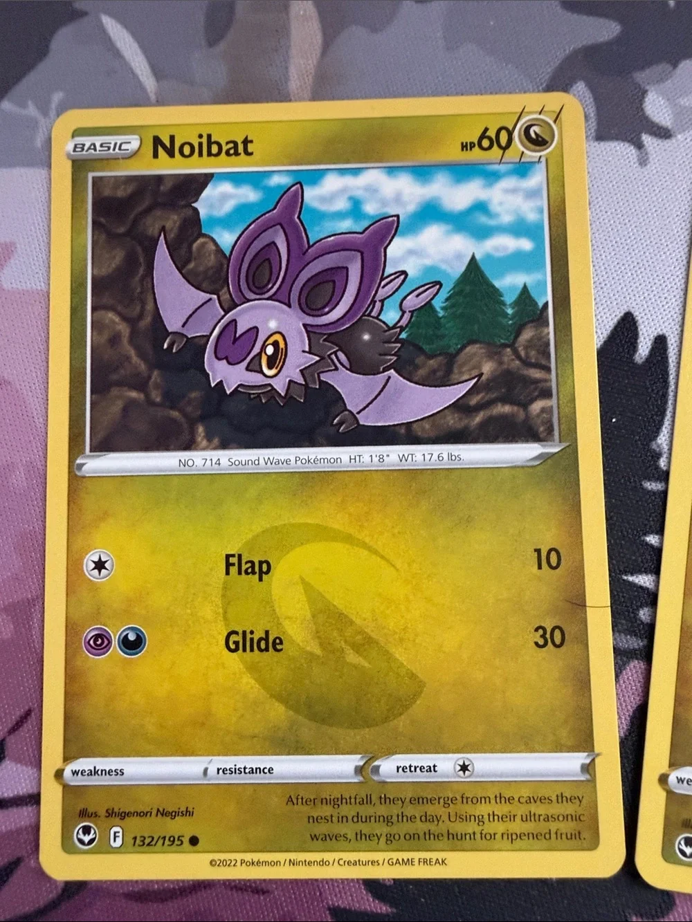 Noibat & Noivern Evolution Lot | Silver Tempest | ✨5/$25✨